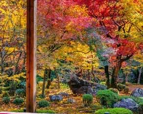 光棍节撩人情话句子 适合11.11发朋友圈的说说暖心情话